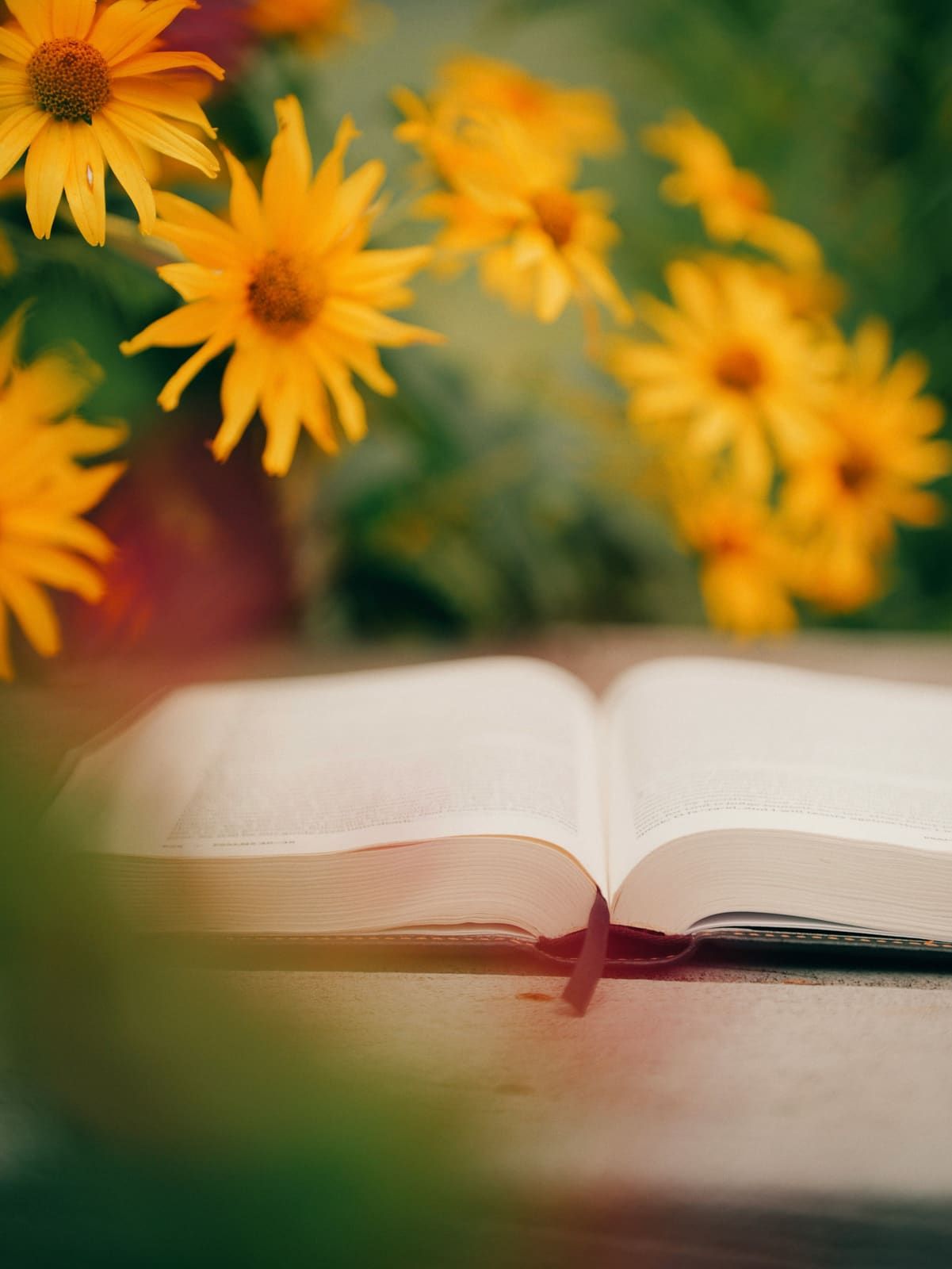 An open Bible surrounded by bright yellow flowers